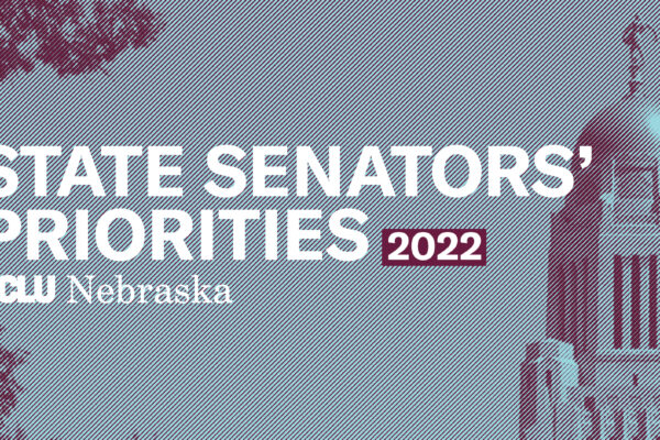 A graphic reads State Senators' priorities 2022