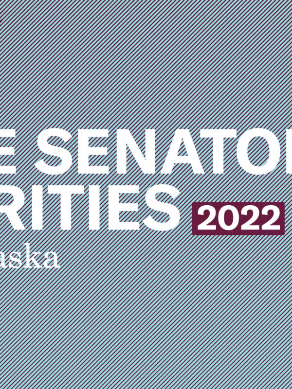 A graphic reads State Senators' priorities 2022