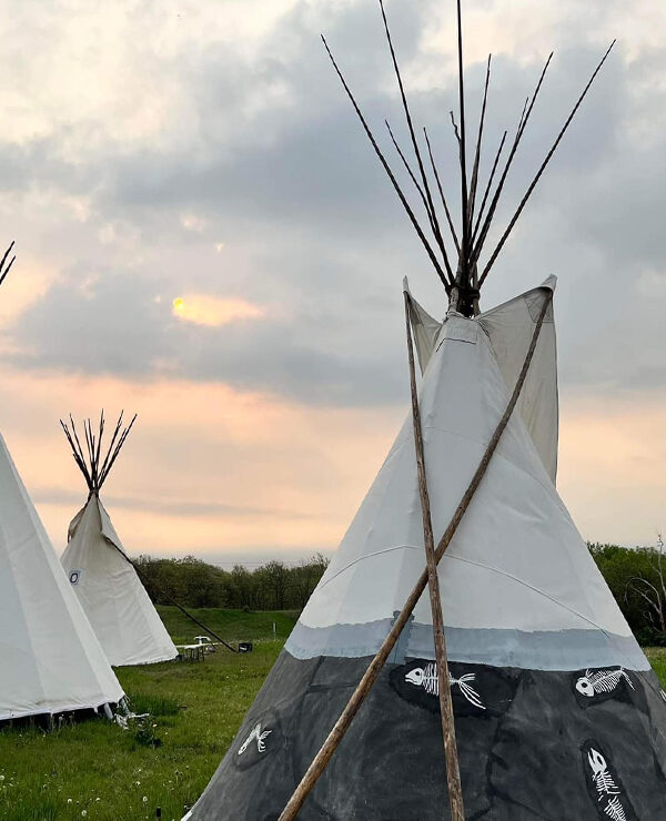 Three tipis stand at the Niskíthe Prayer Camp.