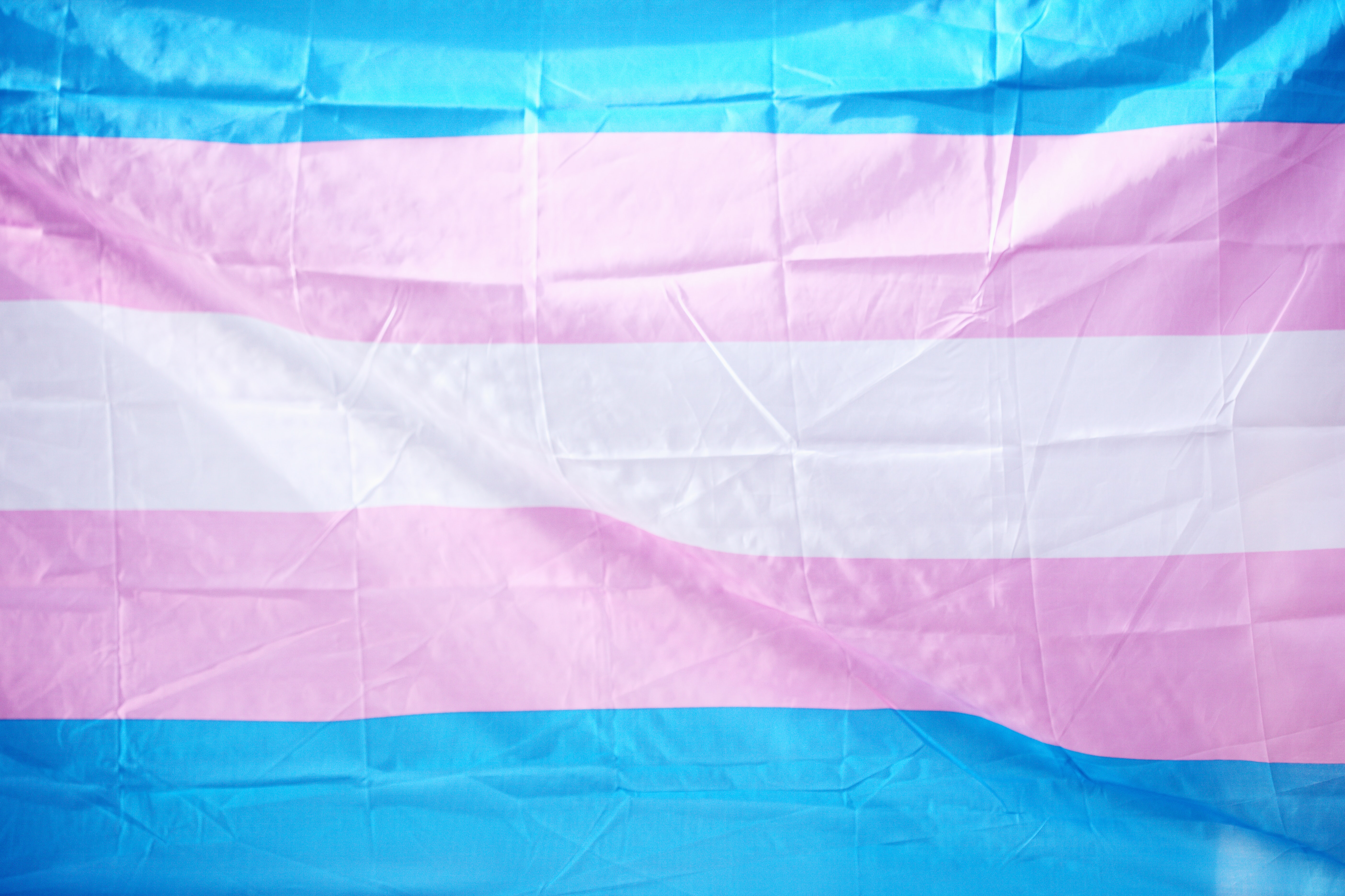 An image depicting the transgender flag. Courtesy Sharon McCutcheon.