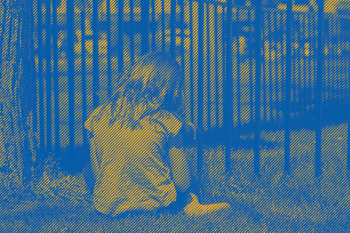 Stylized photo of young girl sitting in grass near bars