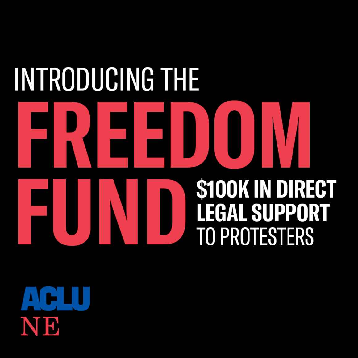 A graphic reading "Introducing the Freedom Fund" A graphic reading "Introducing the Freedom Fund"